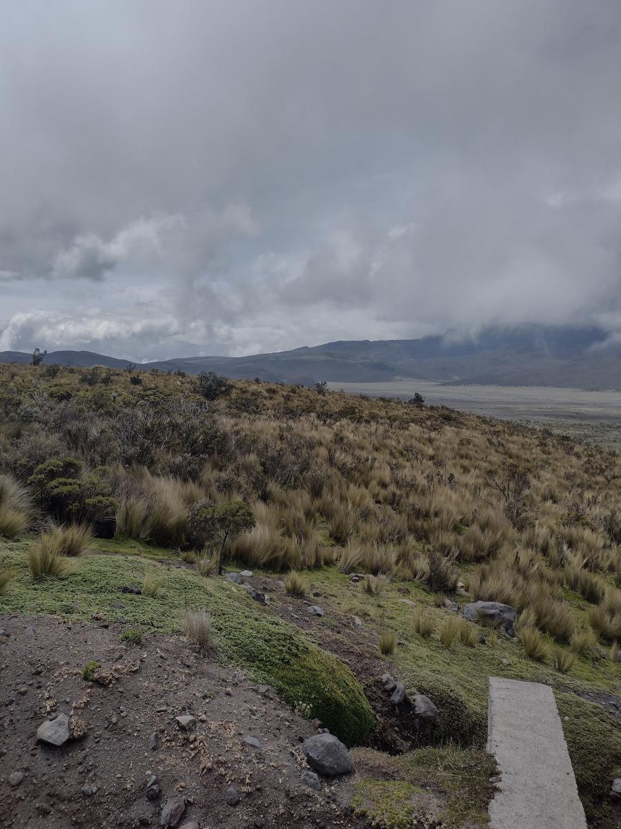 IMG 20220129 134711273 HDR