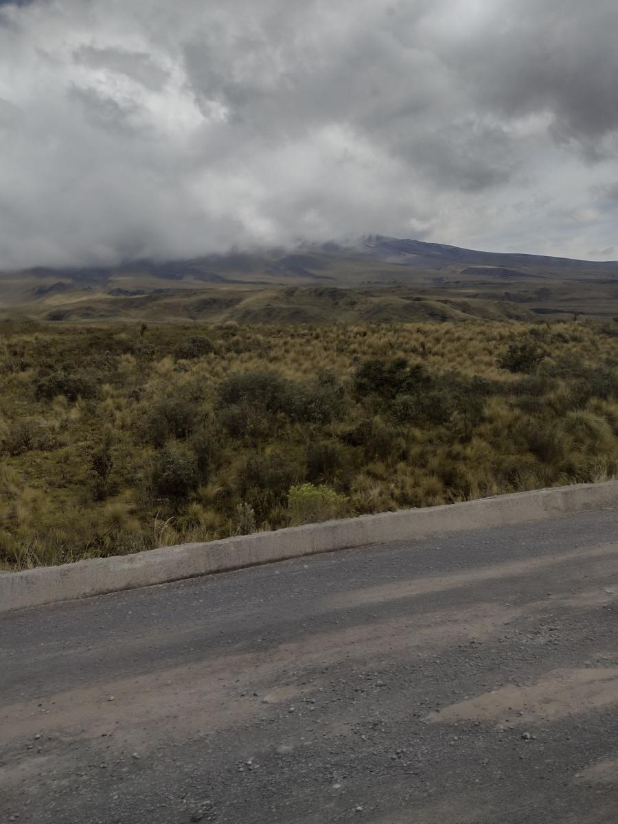 IMG 20220129 143839464 HDR