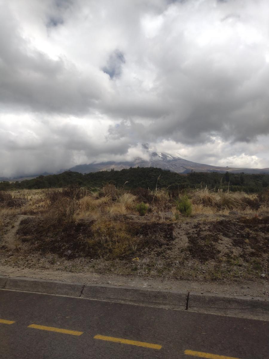IMG 20220129 145044141