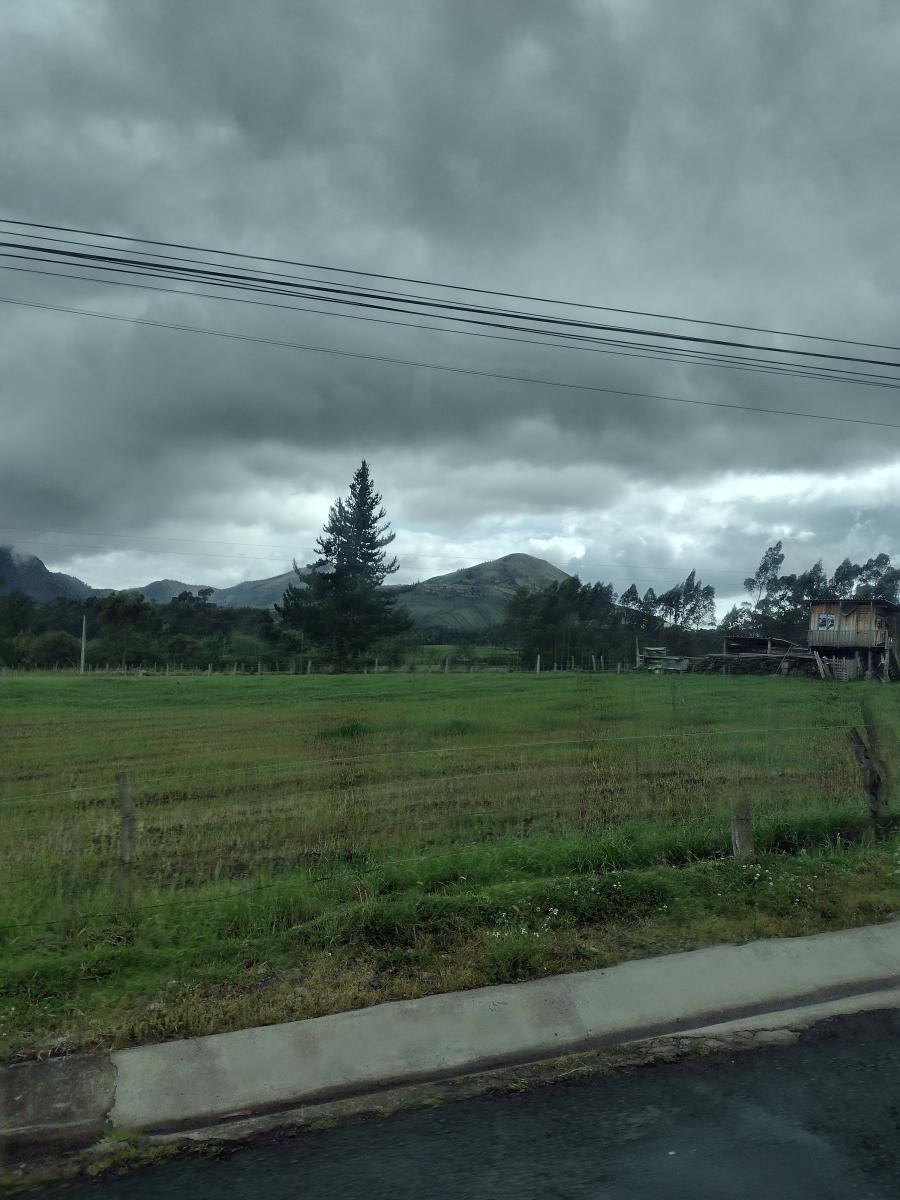 IMG 20220129 152434660 HDR