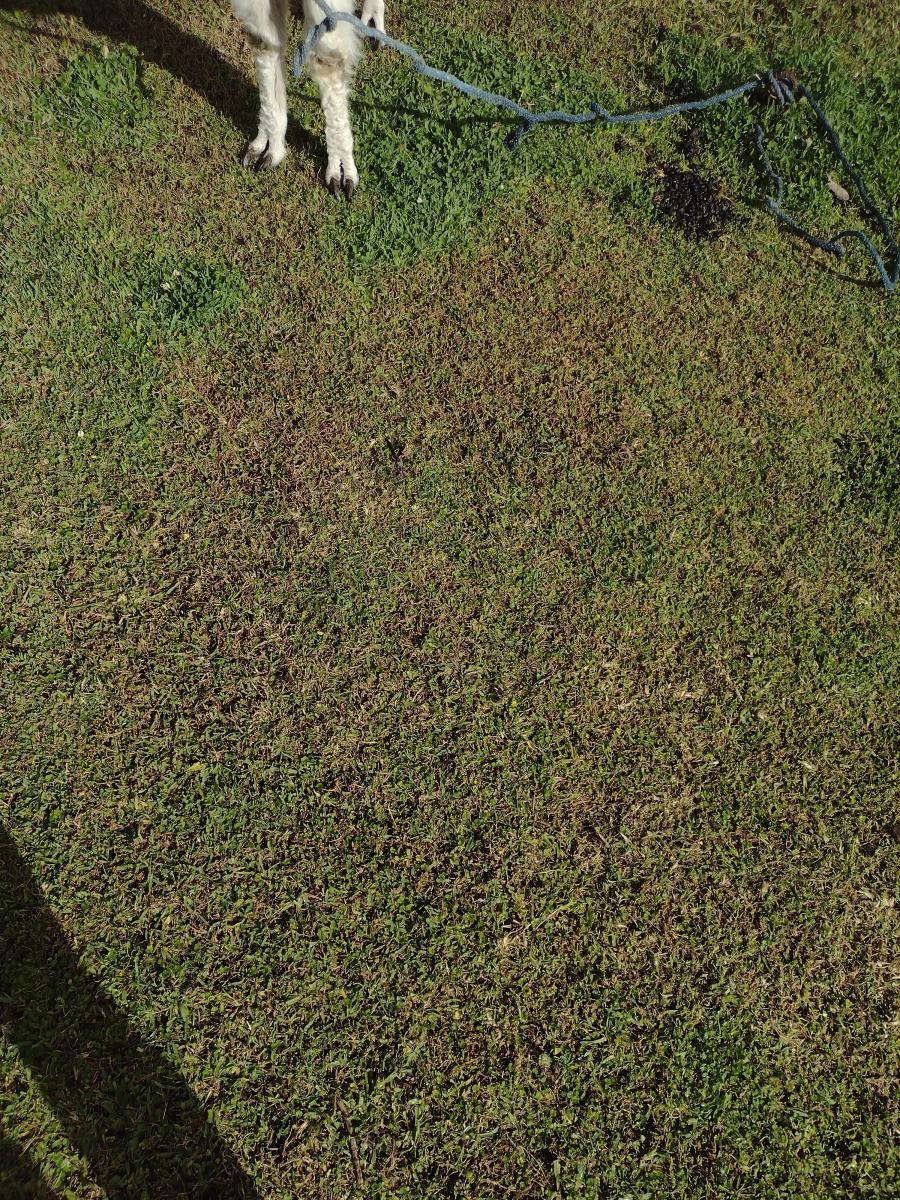 IMG 20220129 161535855 HDR