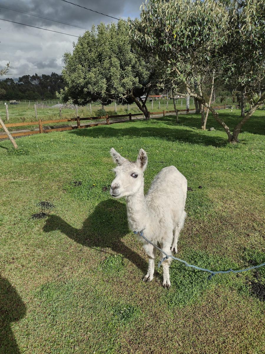 IMG 20220129 161542286 HDR