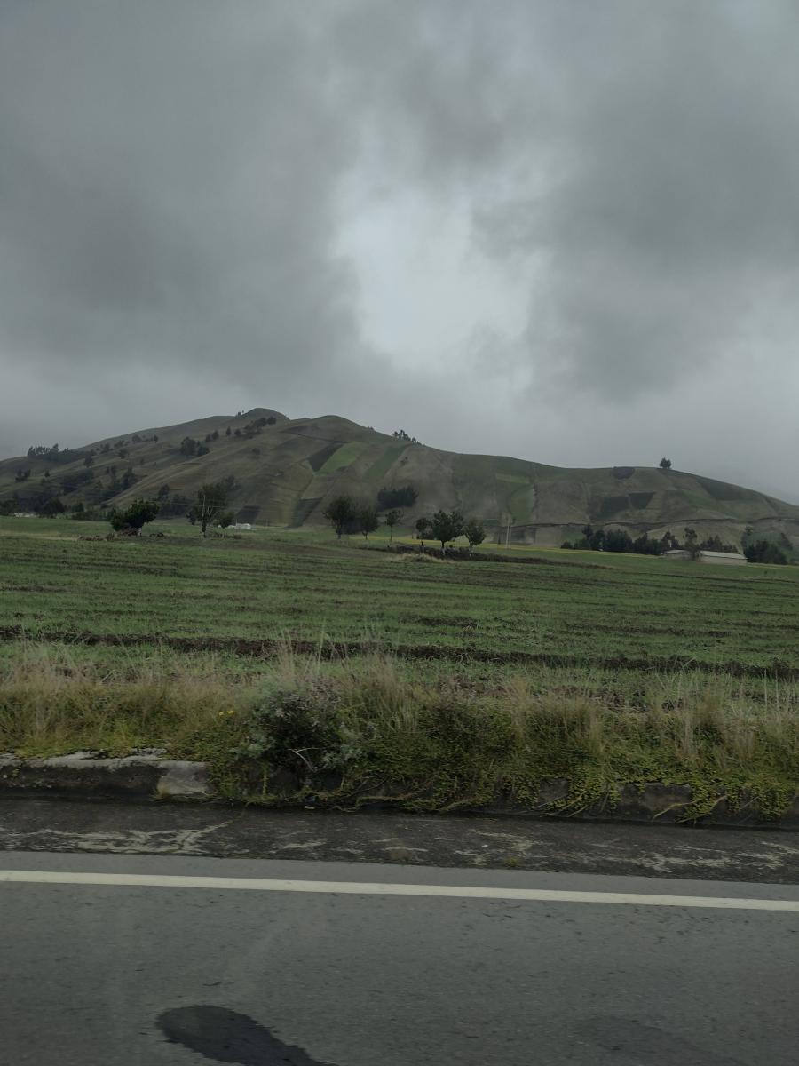 IMG 20220130 120459880 HDR