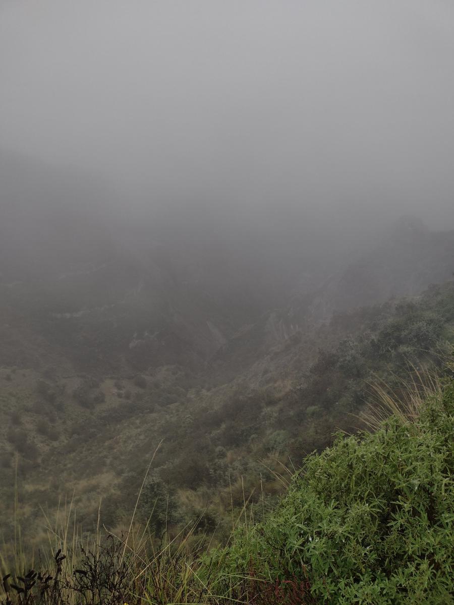 IMG 20220130 142625563 HDR