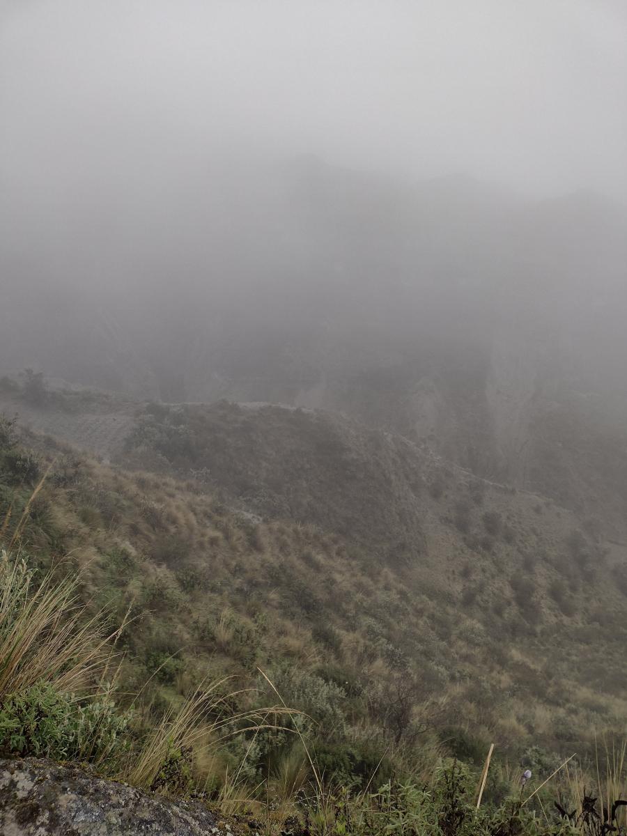 IMG 20220130 142628666 HDR