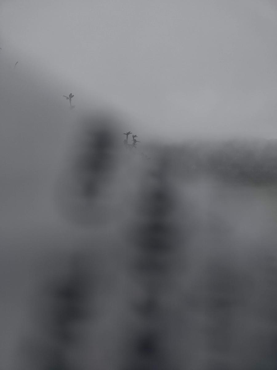 IMG 20220130 151133747 HDR