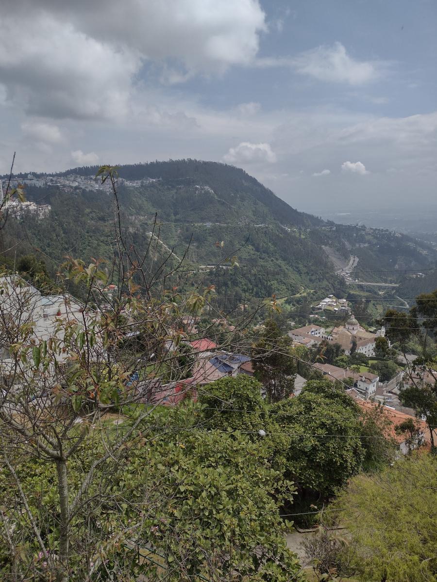 IMG 20220209 104636422 HDR
